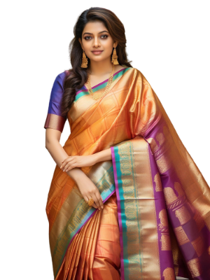 Embroidered Chanderi Saree